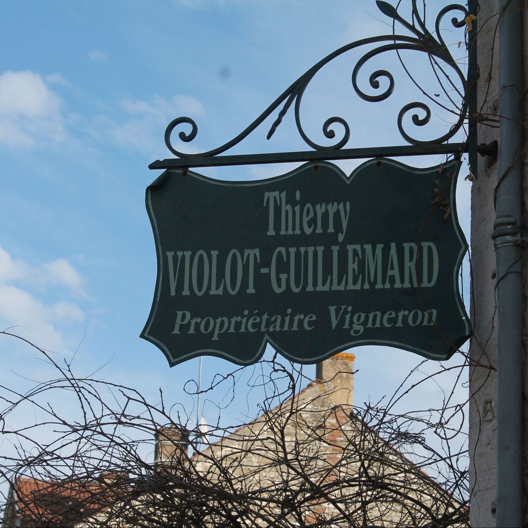 Thierry Violot-Guillemard — Caveau Selections Thierry Violot-Guillemard — Caveau Selections